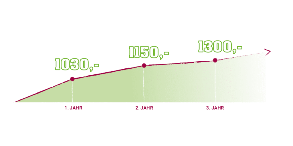 Verdienst Altenpflegerin