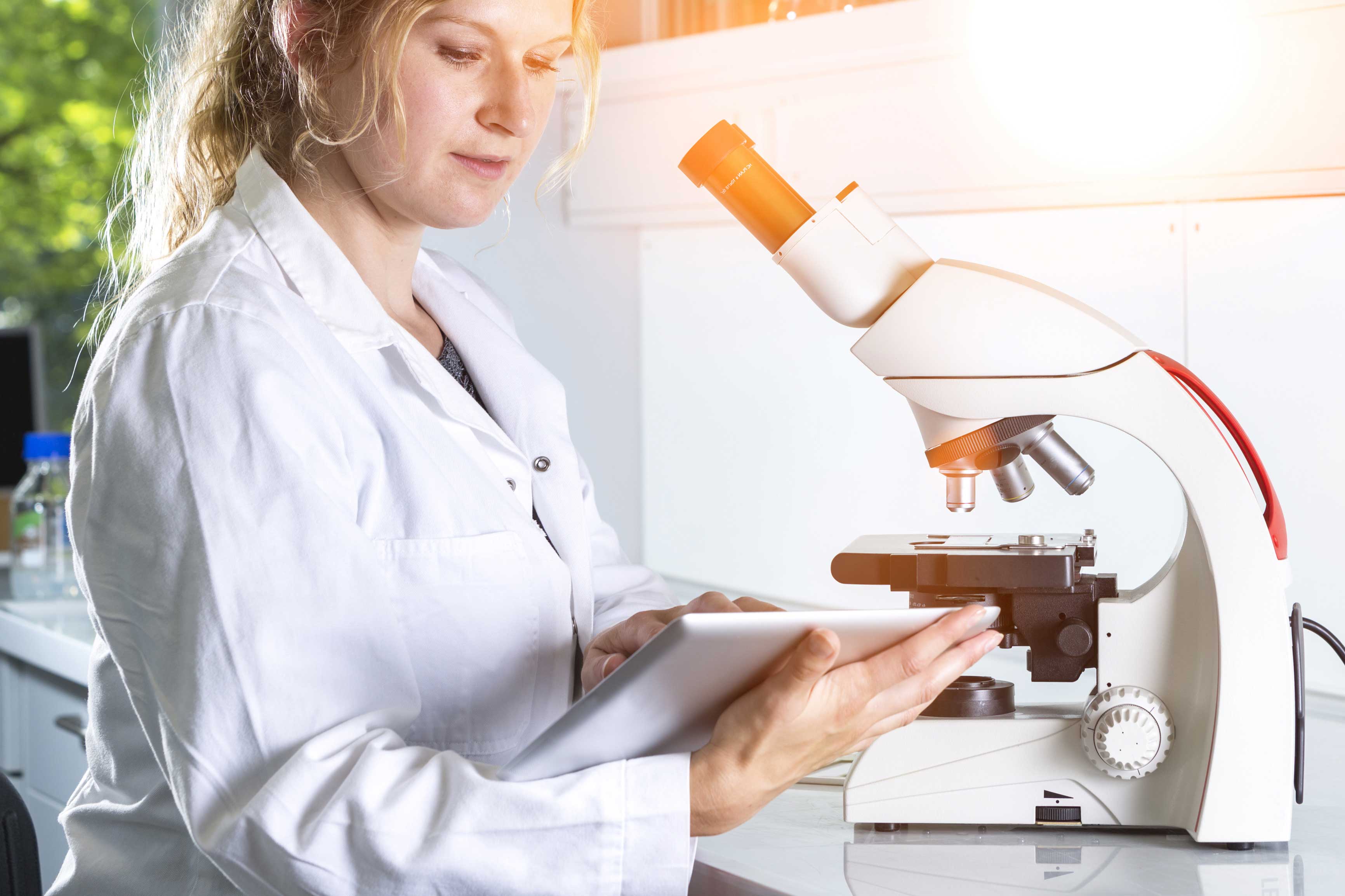 AdobeStock_179191716