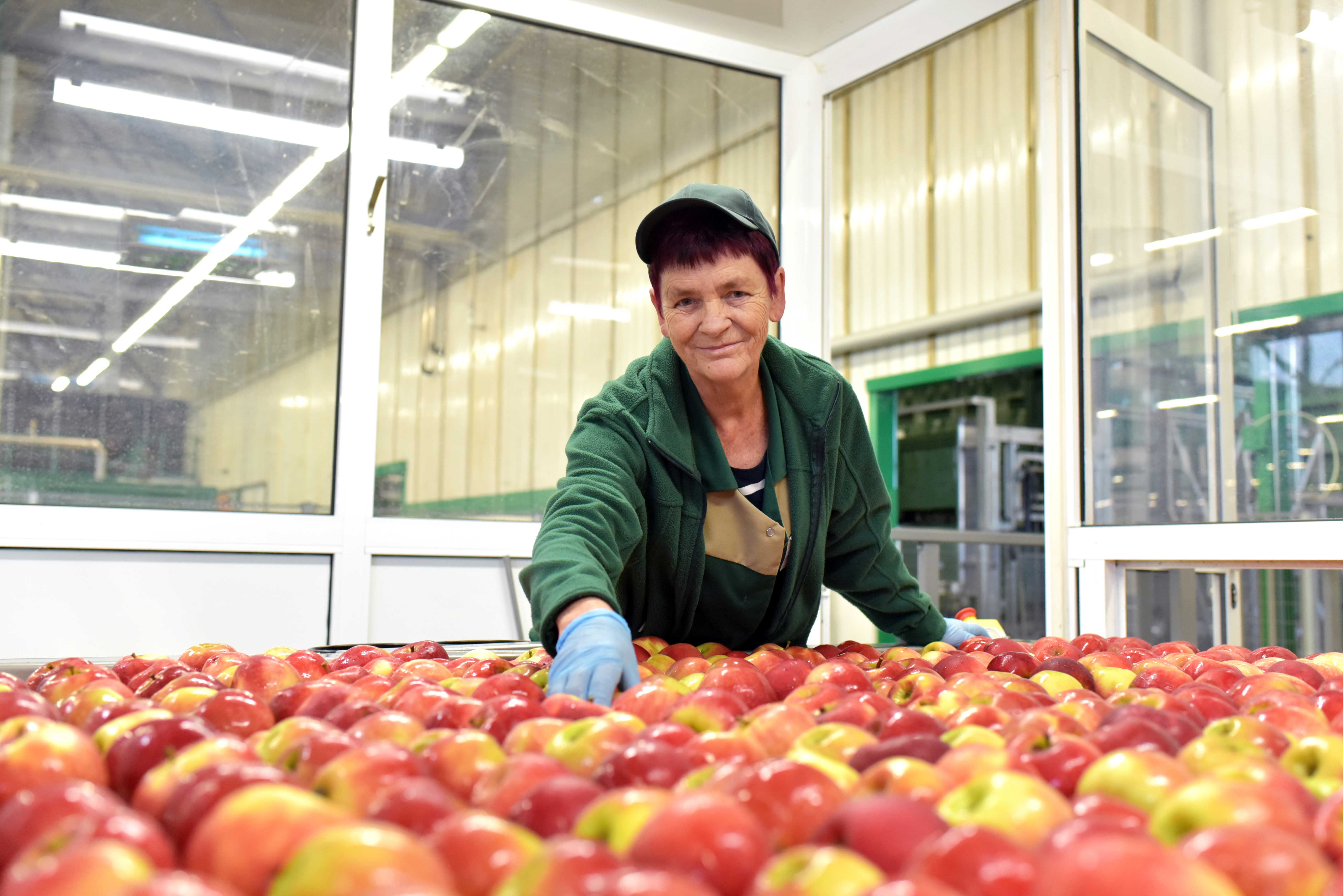 AdobeStock_235918321