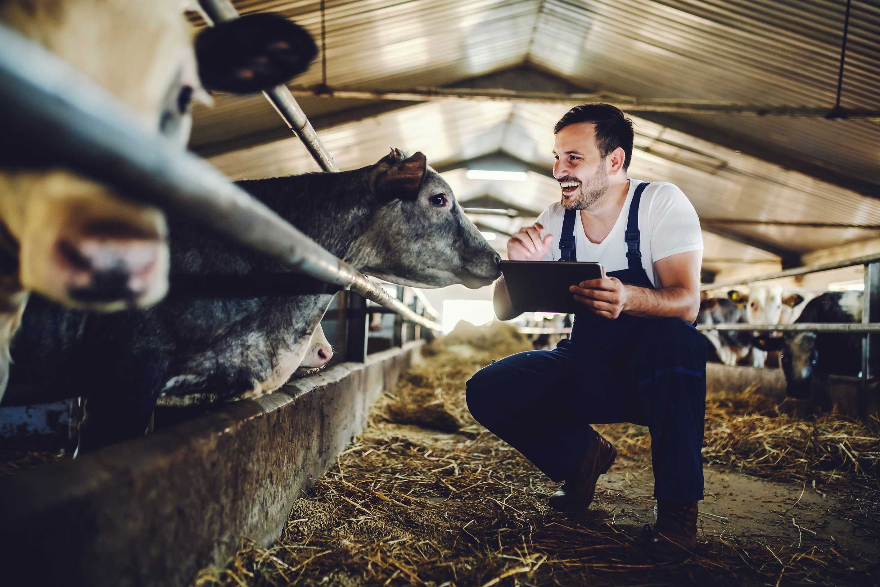 Ausbildung Landwirt/in | YourJob